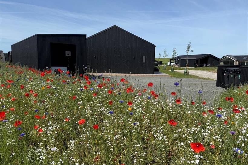 Foto von Ferienhaus XZ04 in Saksild - Odder - Ostjütland