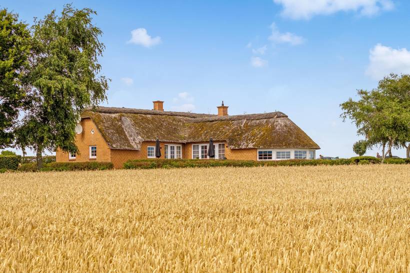 Foto von Ferienhaus YA69 auf Mors - Thy/Limfjord