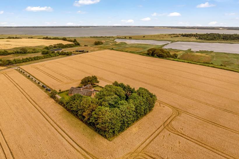 Foto von Ferienhaus YA69 auf Mors - Thy/Limfjord