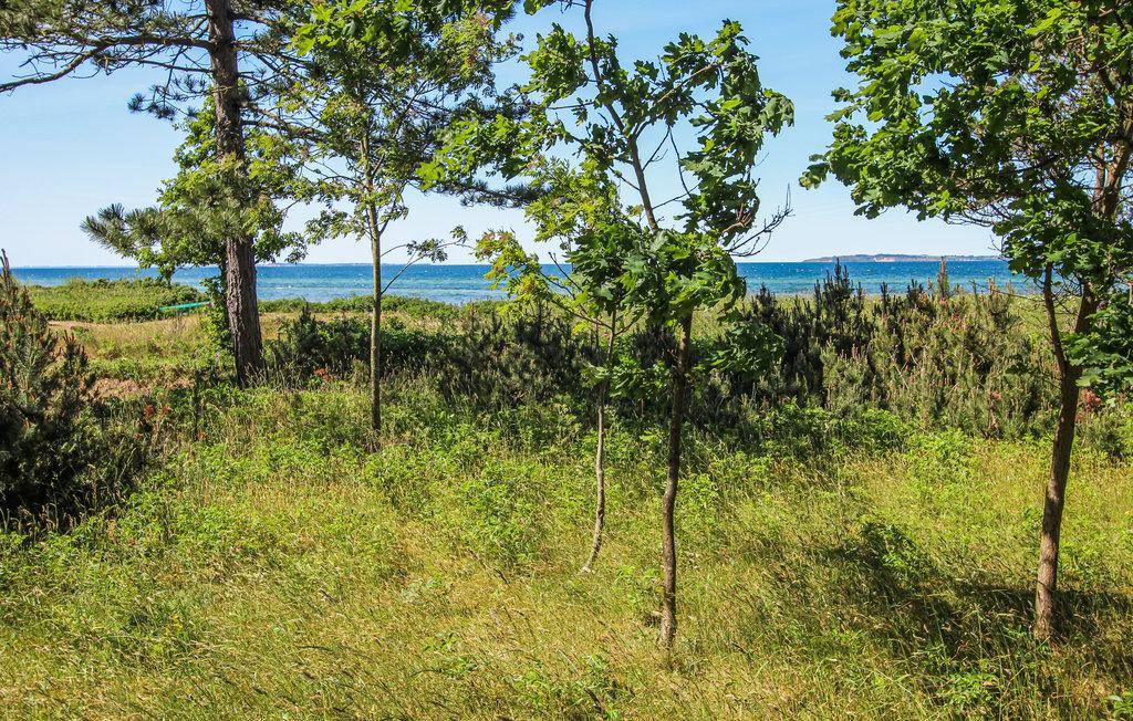 Foto von Ferienhaus YB03 in Sælvig - Samsø