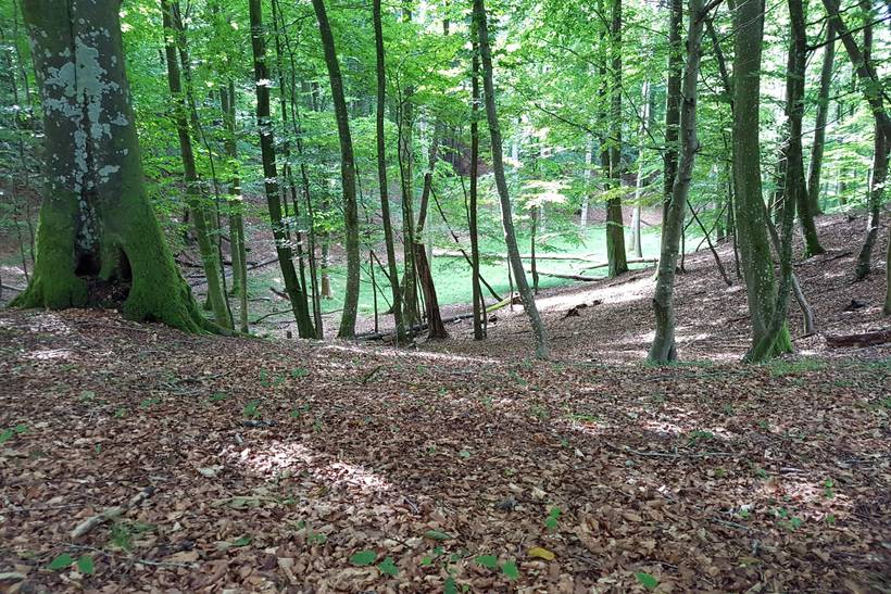 Foto von Ferienhaus YB30 in Bratten - Nordjütland Ost