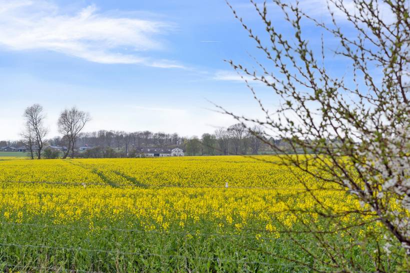 Foto von Ferienhaus YB77 in Saksild - Odder - Ostjütland