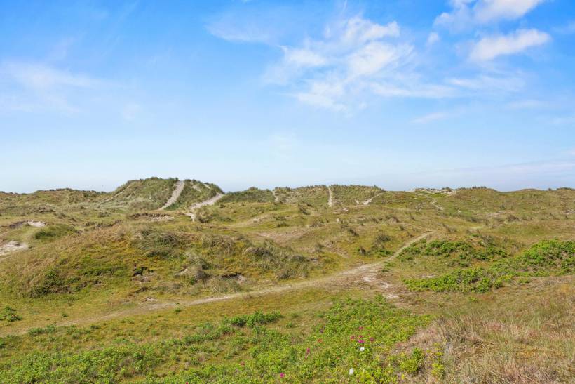 Foto von Ferienhaus YB98 in Rindby - Fanø