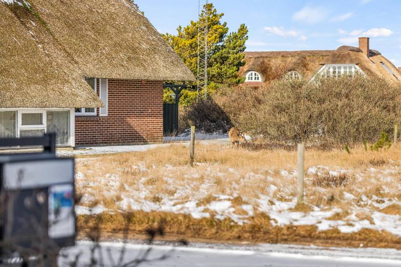 Foto von Ferienhaus YD03 in Blåvand - Westjütland