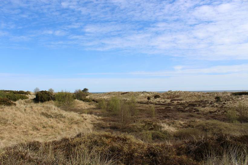 Foto von Ferienhaus YD18 in Lyngså - Nordjütland Ost