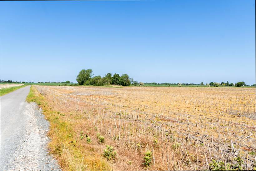 Foto von Ferienhaus YE19 in Bogense - Nordfünen