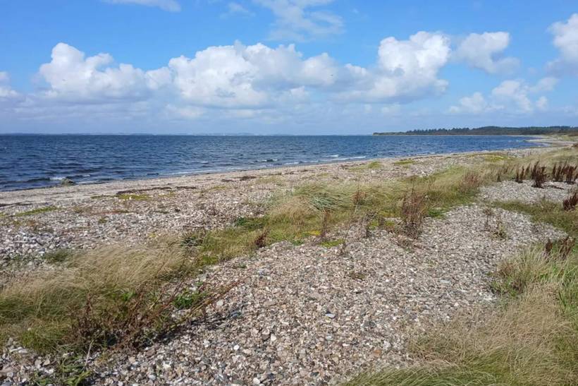 Foto von Ferienhaus YE29 in Østerby - Læsø