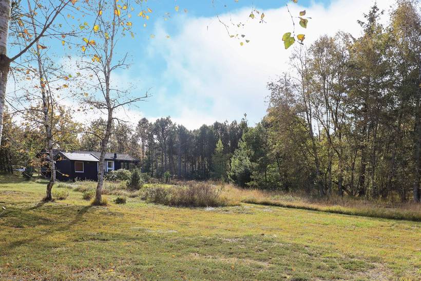 Foto von Ferienhaus YE29 in Østerby - Læsø
