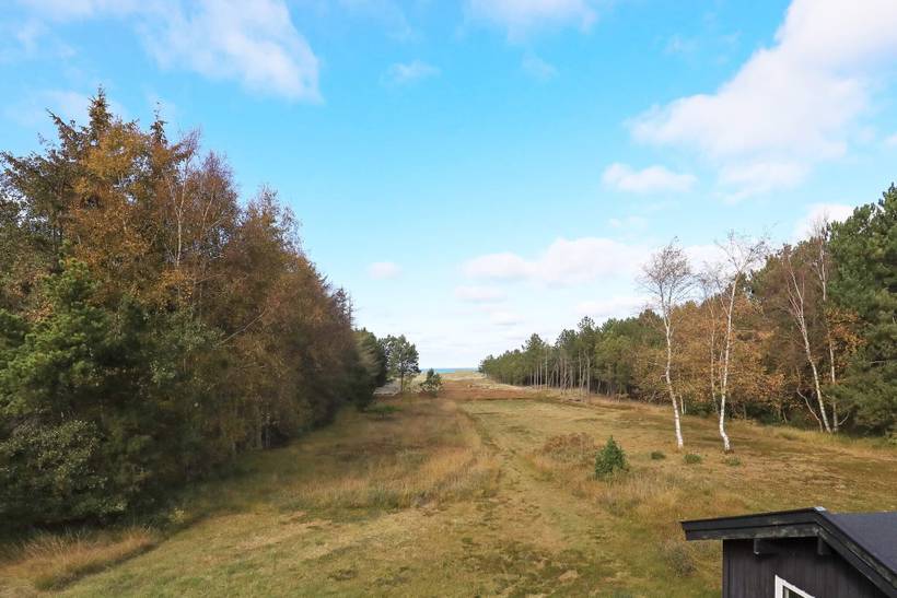 Foto von Ferienhaus YE29 in Østerby - Læsø