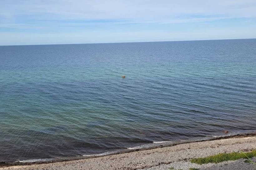 Foto von Ferienhaus YE29 in Østerby - Læsø