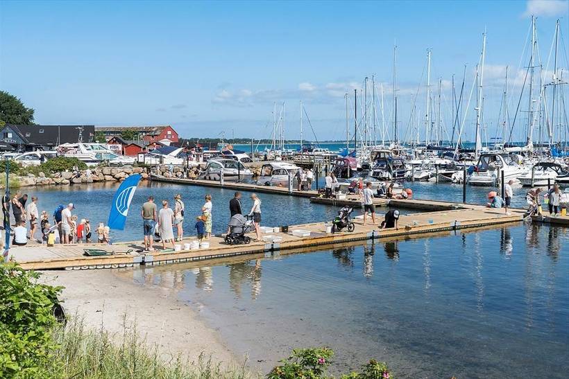 Foto von Ferienhaus YF08 auf Syd - Samsø