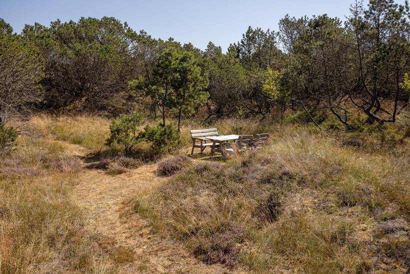 Foto von Ferienhaus YH97 in Blåvand - Westjütland