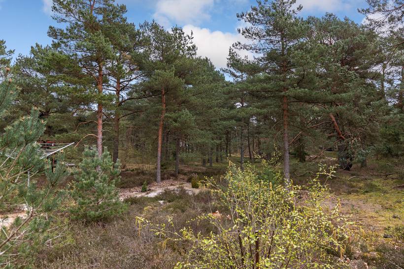 Foto von Ferienhaus YI49 in Balka - Bornholm