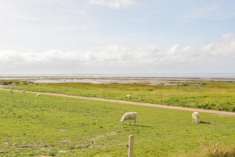 Foto von Ferienhaus YI72 in Højer - Südjütland