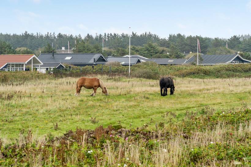 Foto von Ferienhaus YI83 in Løkken - Nordjütland