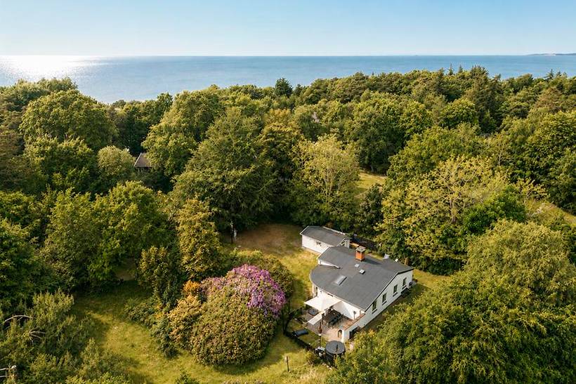 Foto von Ferienhaus YJ10 in Udsholt - Rågeleje - Nordseeland