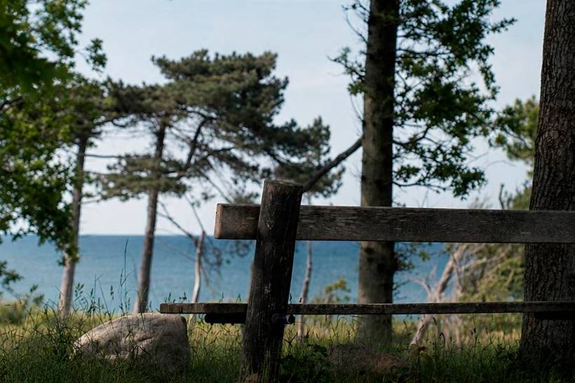 Foto von Ferienhaus YJ10 in Udsholt - Rågeleje - Nordseeland