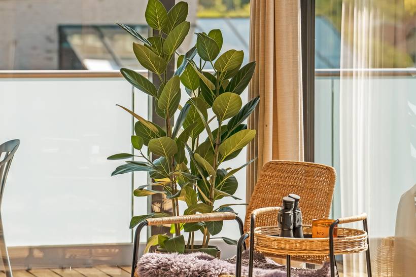 Foto von Ferienhaus YJ43 in Ebeltoft - Ostjütland