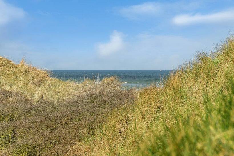 Foto von Ferienhaus YL26 in Nørlev - Lønstrup - Nordjütland