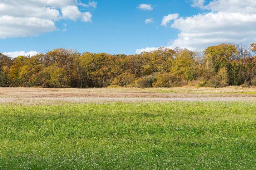 Foto von Ferienhaus YL71 auf Kragenæs - Lolland
