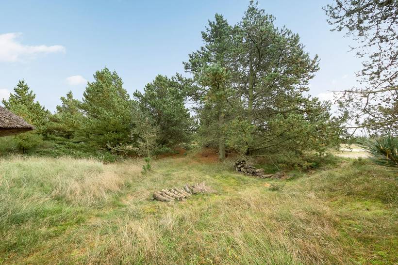 Foto von Ferienhaus YN07 in Grønne - Nordjütland
