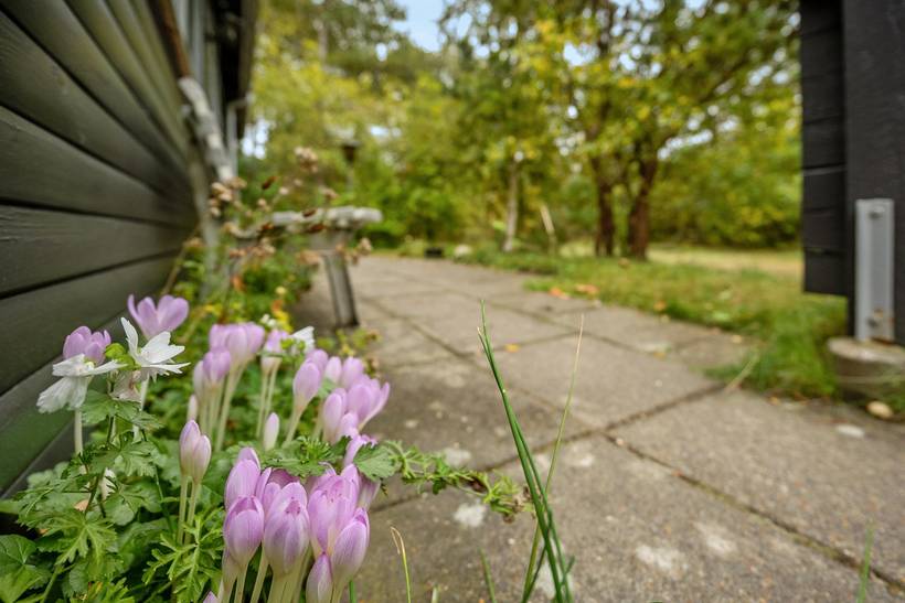 Foto von Ferienhaus YN62 in Kongsmark - Rømø