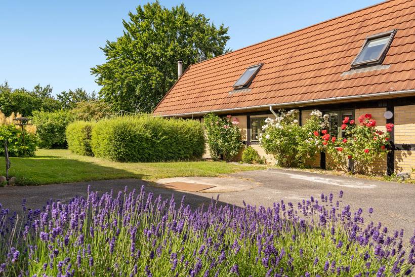 Foto von Ferienhaus YN80 auf Dannemare - Lolland