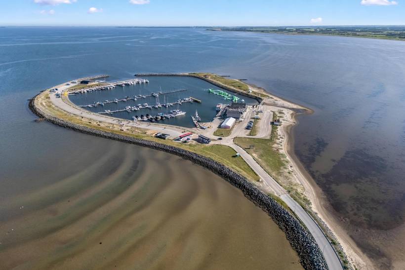 Foto von Ferienhaus YN81 in Handbjerg - Thy/Limfjord