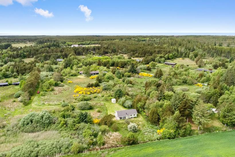 Foto von Ferienhaus YO58 in Lild - Thy/Limfjord