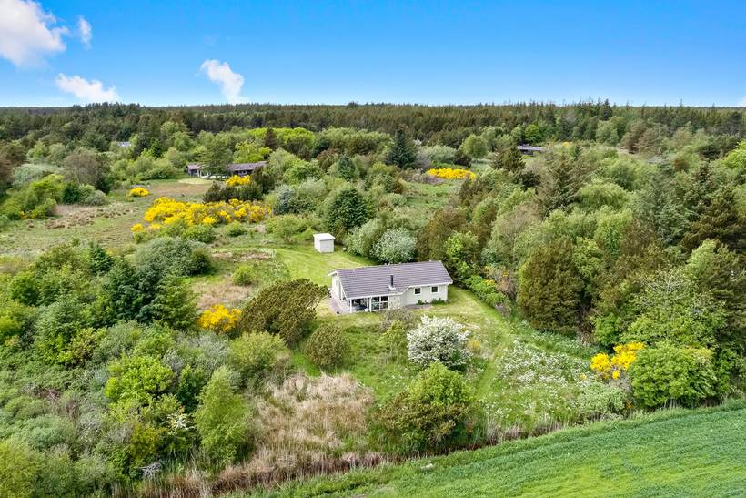 Foto von Ferienhaus YO58 in Lild - Thy/Limfjord