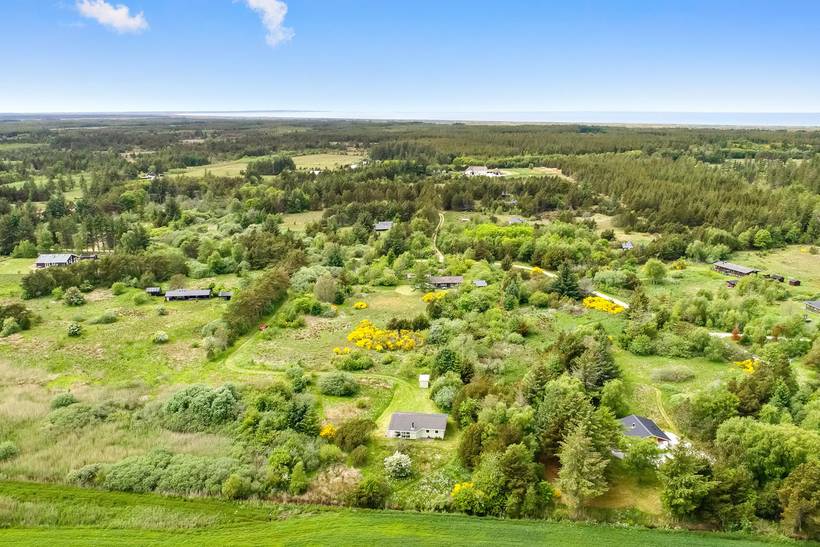 Foto von Ferienhaus YO58 in Lild - Thy/Limfjord