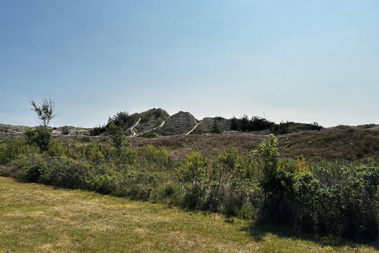 Foto von Ferienhaus YO72 in Bunken - Ålbæk - Nordjütland Ost