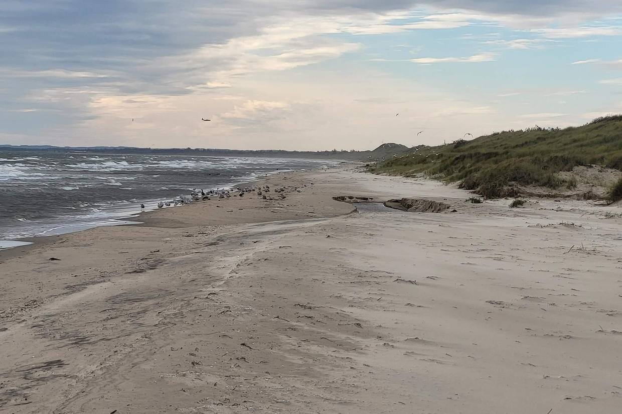 Foto von Ferienhaus YO72 in Bunken - Ålbæk - Nordjütland Ost