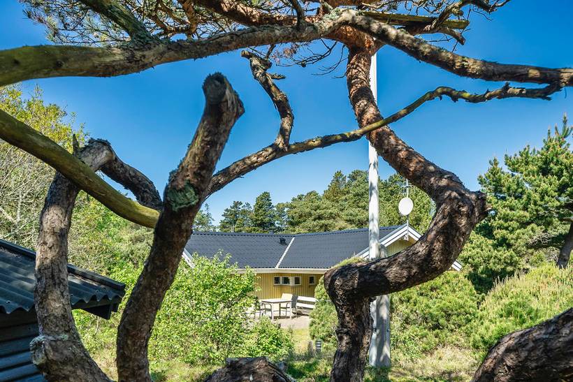 Foto von Ferienhaus YO91 in Vejers Strand - Westjütland