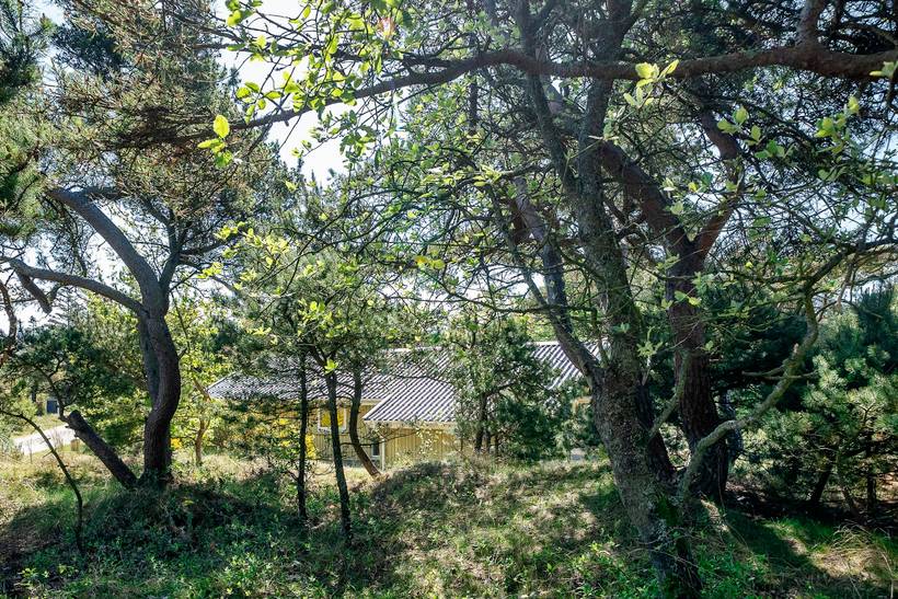 Foto von Ferienhaus YO91 in Vejers Strand - Westjütland