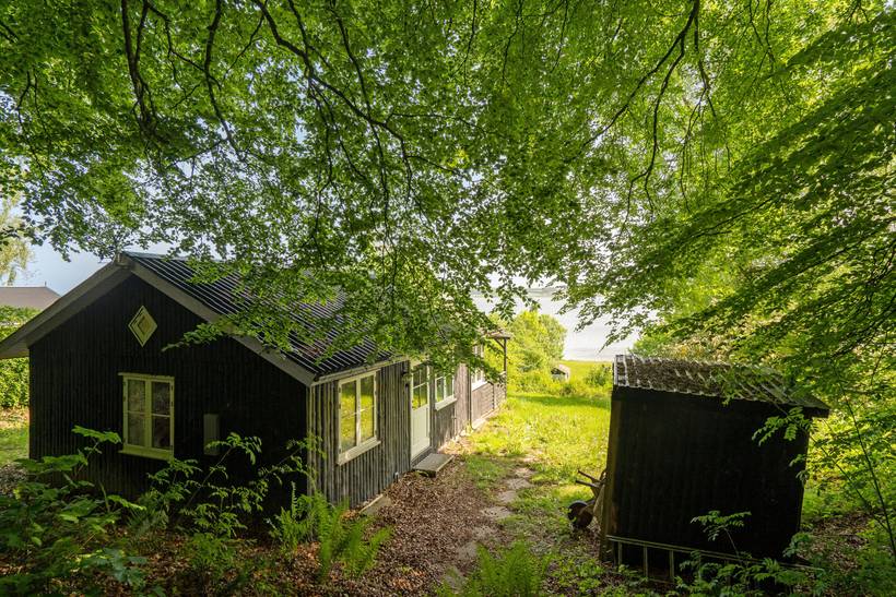 Foto von Ferienhaus YP36 in Hjarbæk - Thy/Limfjord