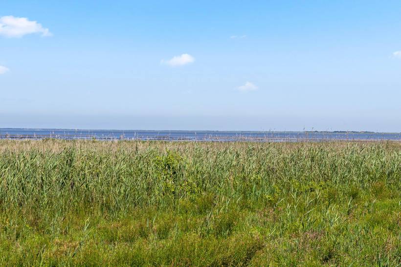 Foto von Ferienhaus YP53 in Havneby - Rømø