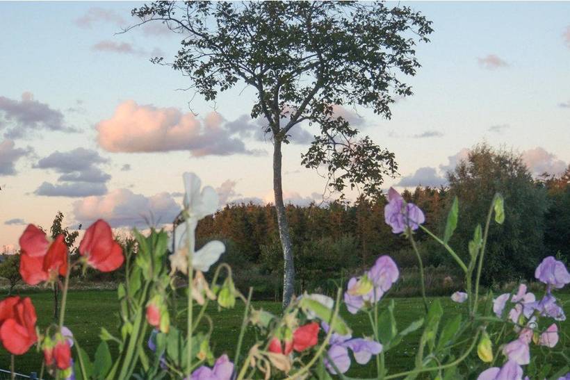 Foto von Ferienhaus YS19 in Dueodde - Bornholm