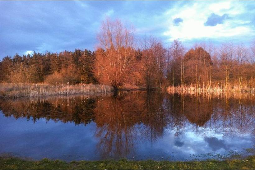 Foto von Ferienhaus YS19 in Dueodde - Bornholm