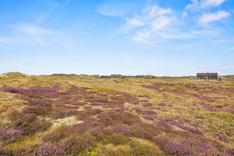 Foto von Ferienhaus YU45 in Sønderho - Fanø