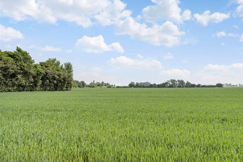 Foto von Ferienhaus YU65 in Saksild - Odder - Ostjütland