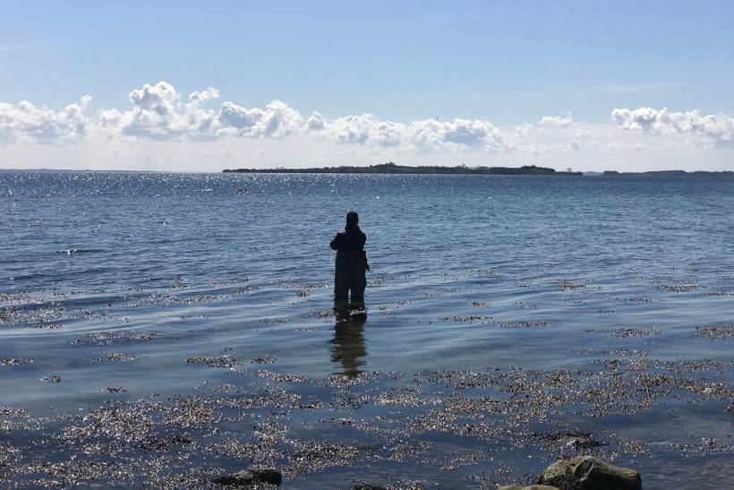Foto von Ferienhaus YU73 in Diernæs - Südjütland