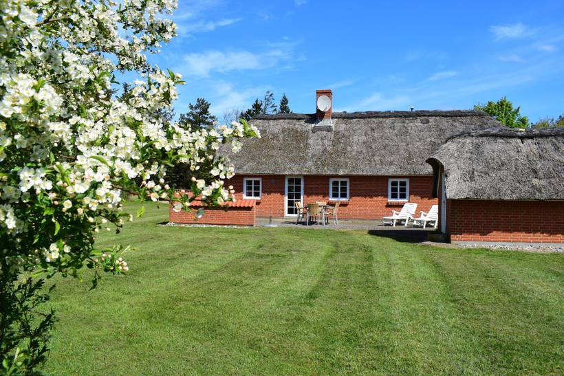 Foto von Ferienhaus YV02 in Vester Husby - Westjütland