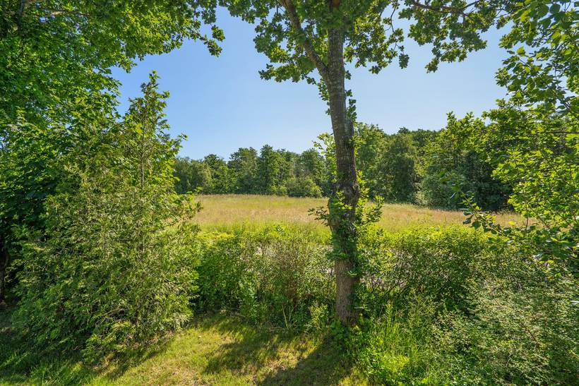 Foto von Ferienhaus YV35 in Skødshoved - Mols - Ostjütland