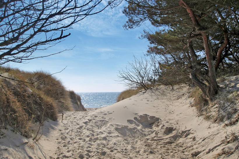 Foto von Ferienhaus YW55 in Dueodde - Bornholm
