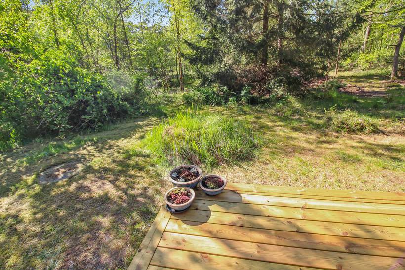Foto von Ferienhaus YW58 in Dueodde - Bornholm