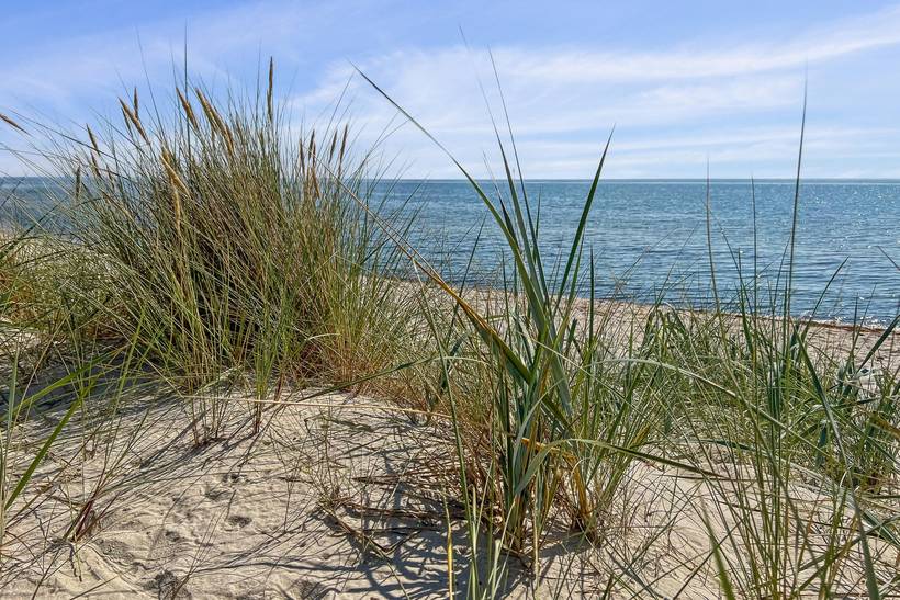 Foto von Ferienhaus YW58 in Dueodde - Bornholm