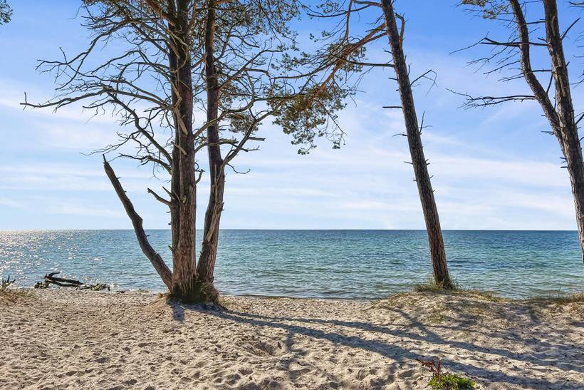 Foto von Ferienhaus YW58 in Dueodde - Bornholm