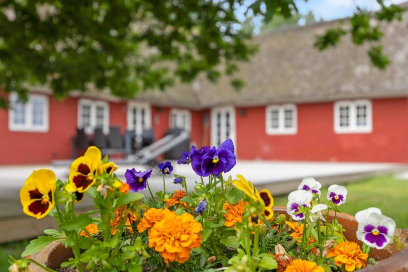 Foto von Ferienhaus YX04 in Havneby - Rømø