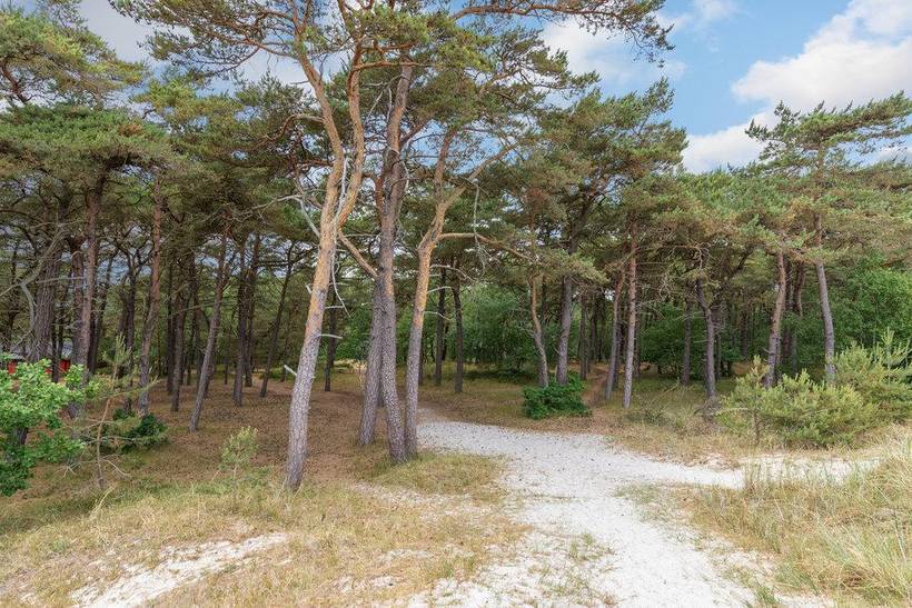 Foto von Ferienhaus YX05 in Dueodde - Bornholm